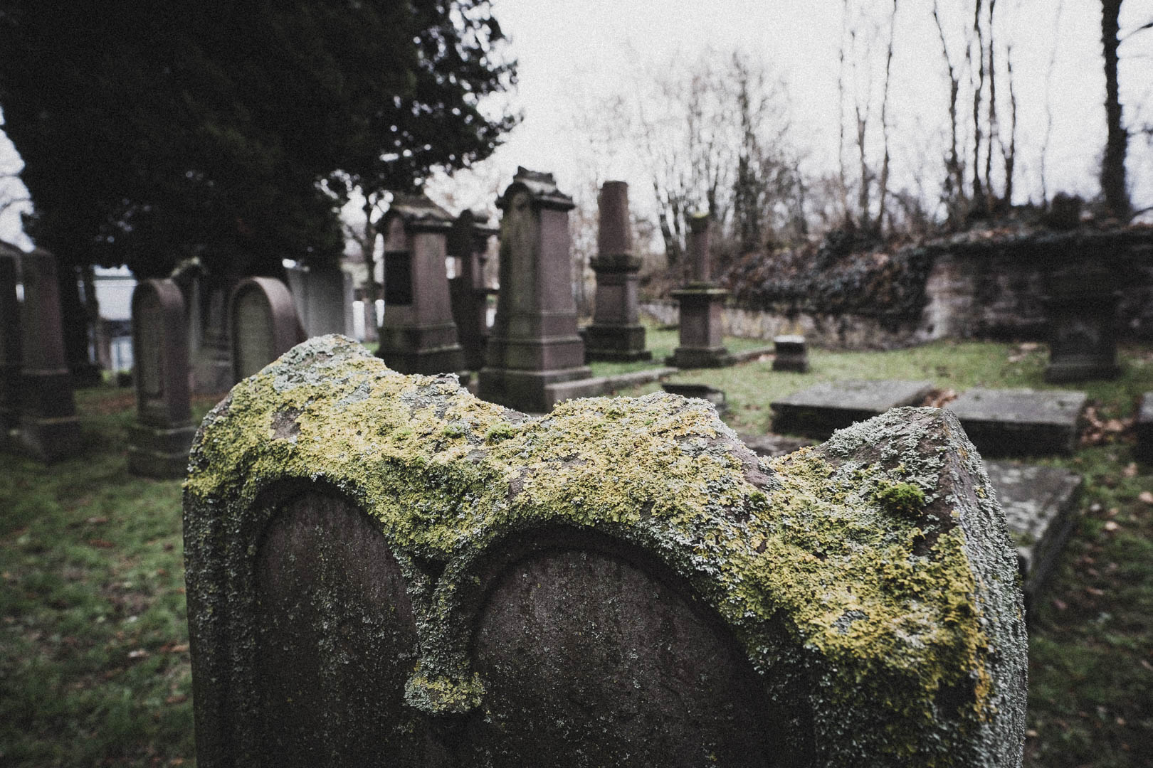 Stadtoldendorf, Jüdischer Friedhof